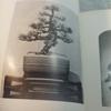 [USED] Antique Book Watanabe Family Bonsai Exhibition Catalog Japan Vintage Japan Store