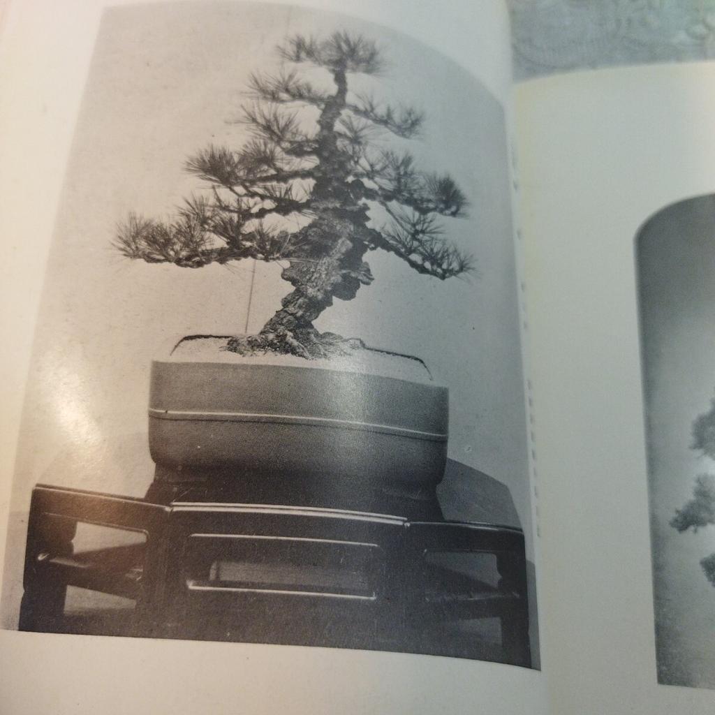 [USED] Antique Book Watanabe Family Bonsai Exhibition Catalog Japan Vintage Japan Store