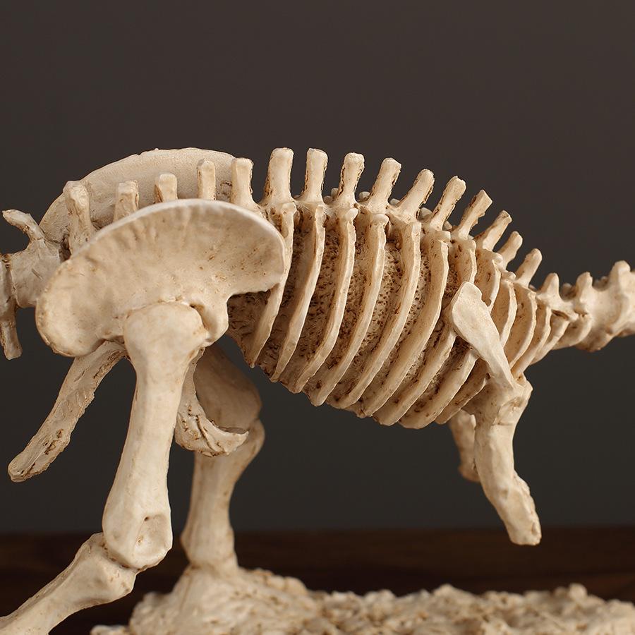Resin Handicrafts Simulated Dinosaurs Tyrannosaurus Rex Model Fossil Skeleton Abstract Animal Sculpture Dinosaur Bones