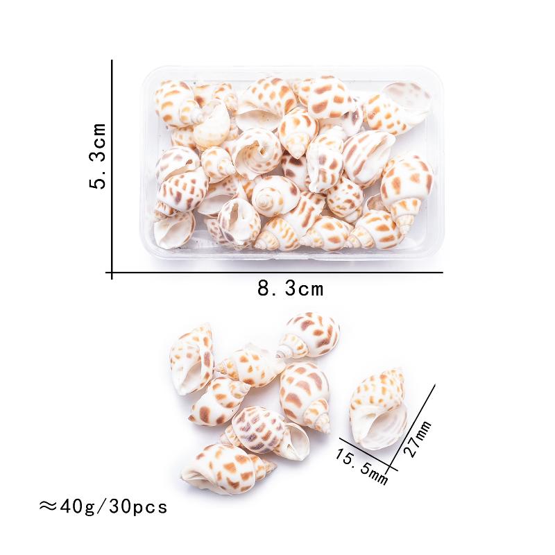 

1 Коробка Морские Ракушки Спиральные Ракушки Крошечные Океанские Спиральные Морские Ракушки Поделки Украшение для Аквариума Ландшафтные Аксессуары Реквизит для Фотографии