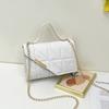 Fashion small bag women's summer new shoulder messenger bag texture is now popular portable small square bag women