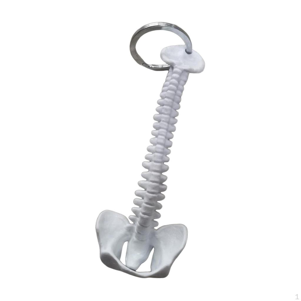 Human Spine Keychain Bag Charm PVC 15cm Handmade Small Lightweight Biology Key Pendant