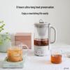 Buydeem K32 Mini Portable Electric Health Kettle CN Plug (adapter Included)