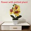 Butterfly Orchid Artificial Plant With Plastic Material For Home Decor And Photography Props