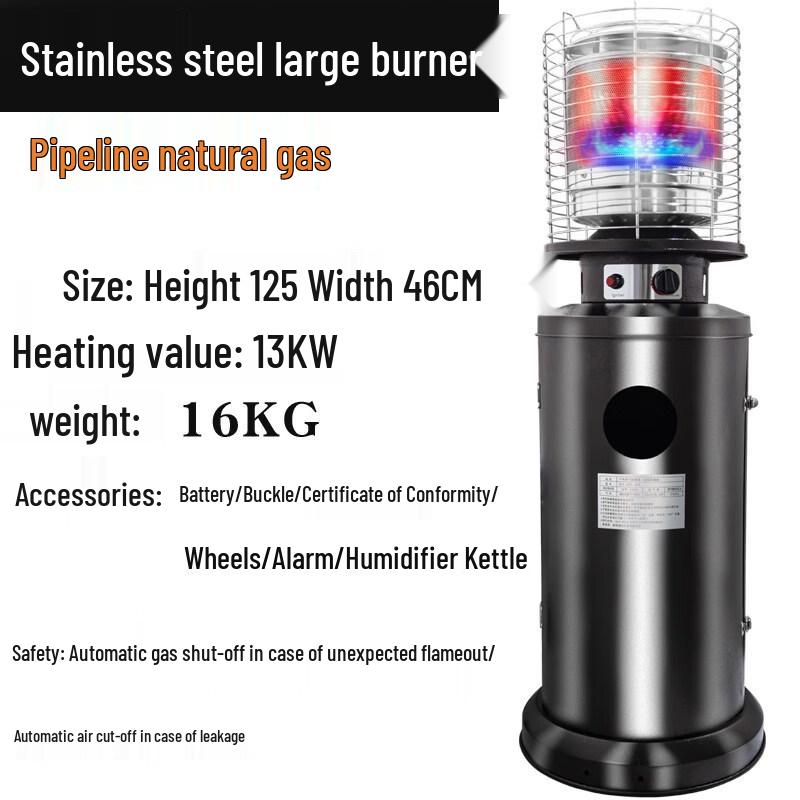Hanoifei Portable Indoor/Outdoor Gas Heater