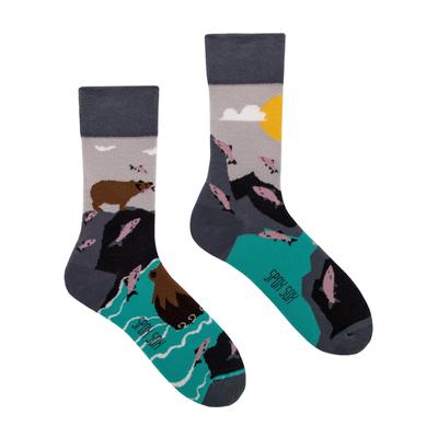 Bears - Colorful Socks 36-39