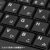 Sanwa Supply USB Slim Keyboard with Pantograph Numeric Keypad Black SKB-SL17BKN