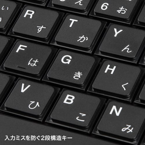 Sanwa Supply USB Slim Keyboard with Pantograph Numeric Keypad Black SKB-SL17BKN