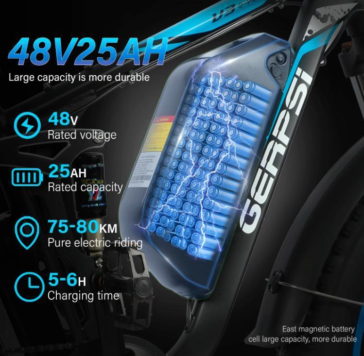 Ebike BLJ DP-2603 3000W Dual Motor 52V 32AH Battery, Front and Rear Shock Absorption, 26-inch Snow Tires, Adult E-Bicycle.