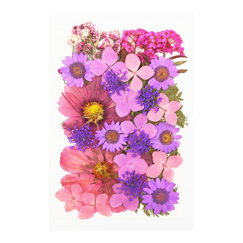 Dried Flowers Real Natural Plant Pressed Flower For Epoxy Resin Filling DIY Keychain Pendant Silicone Mold Jewelry Making Crafts