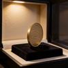 History Buffs Interest Training Coin Valuable Training Tool