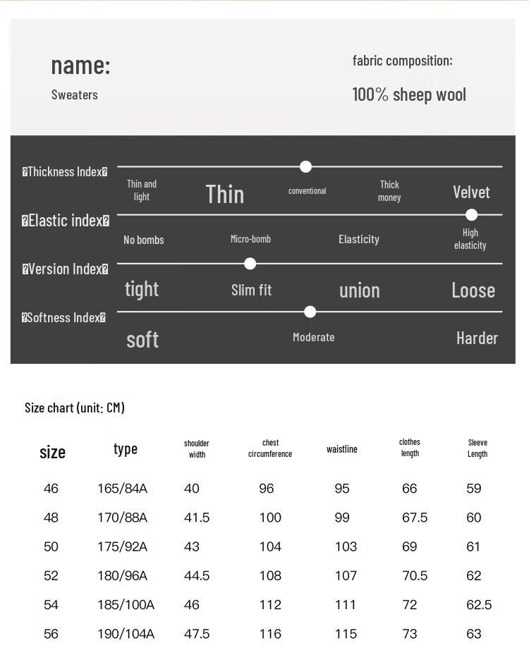 Caizi Men's Pure Wool Slim Fit Pullover Sweater