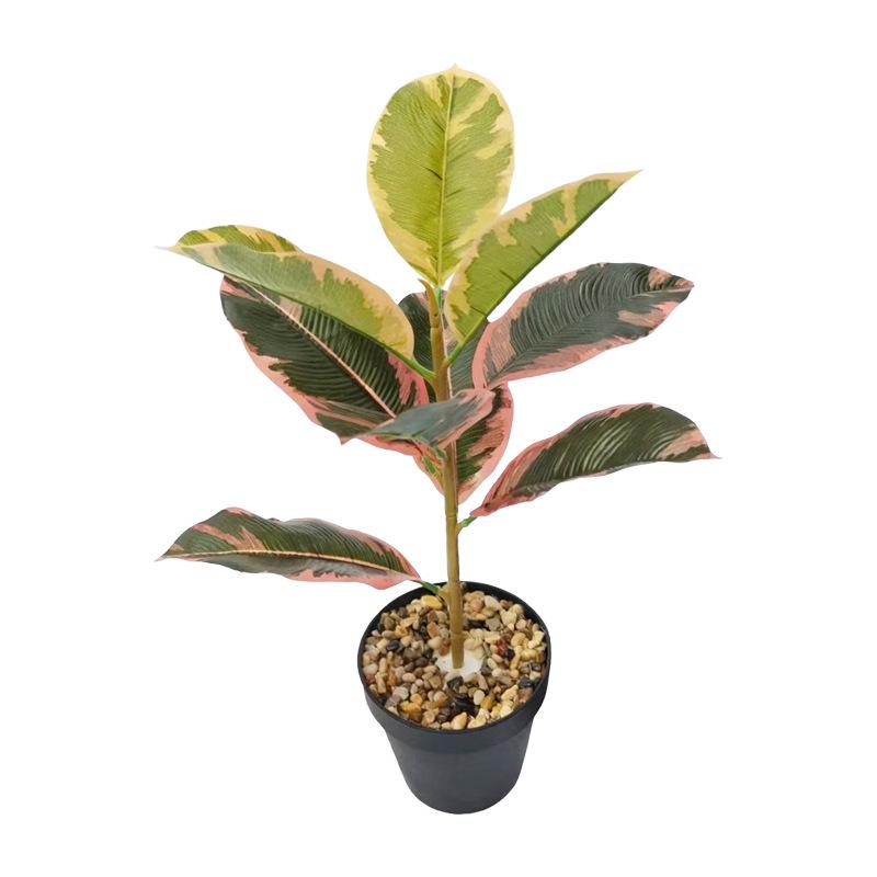 Desktop Rubber Tree & Aspidistra Potted Plant - Bionic Green Landscape Ornament