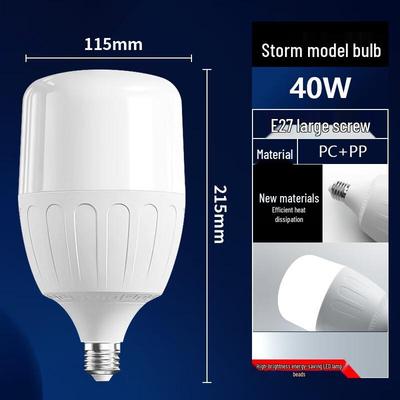Oenyled 40W Outdoor Eye-Protection Globe LED Bulb (2-Pack)