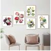 Watercolor Retro Vintage Nature Picture Poster Plant Flower Leaves Canvas Painting Decorations for Home Wall Art