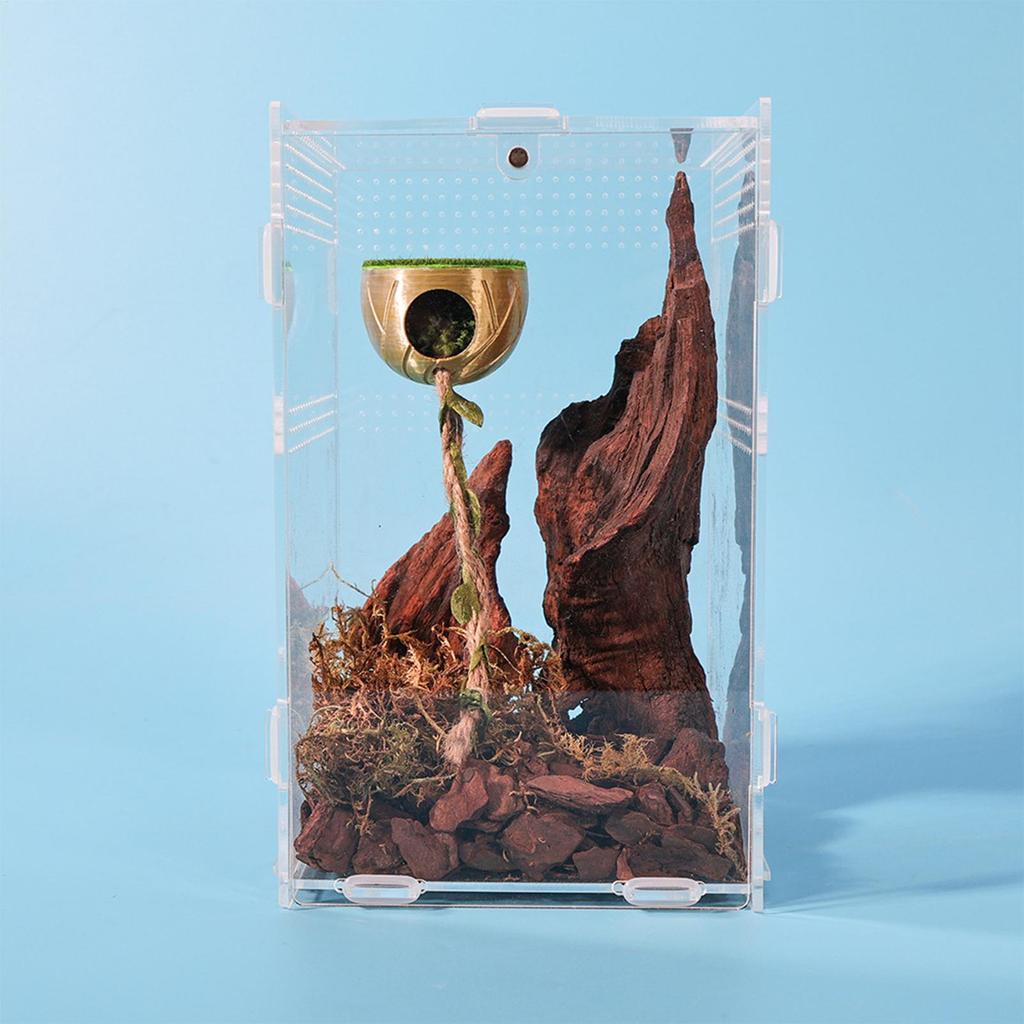 Decorazione per Recinto di Ragno Saltatore Magnetica Accessori per Acquario Rettili Grotta Nascosta per Ragno Saltatore per Terrario Acquario Recinto