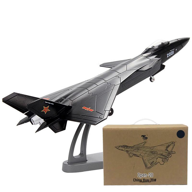 J-20 Stealth Fighter Jet Alloy Model 1:100 Scale