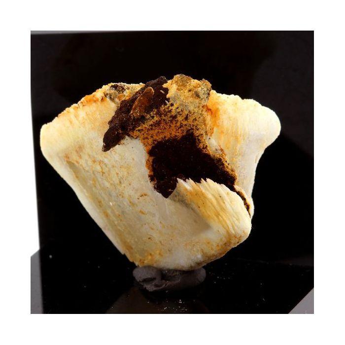 Baryte, Sidérite 24.56 carats