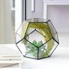 Stilvolle geometrische Form Glas Blumentopf Sukkulenten Pflanze Pflanzer Container Landschaft Dekoration