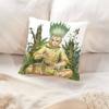 Anime D-Dr. Stone Pillow Case Cushion Cover Soft Cute Throw Pillow Case For Car Sofa Pillowcase Polyester With Zipper
