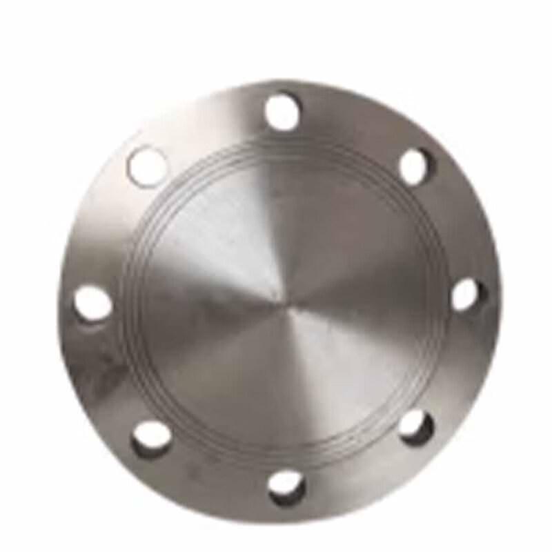 Stainless Steel Flange Blind Plate