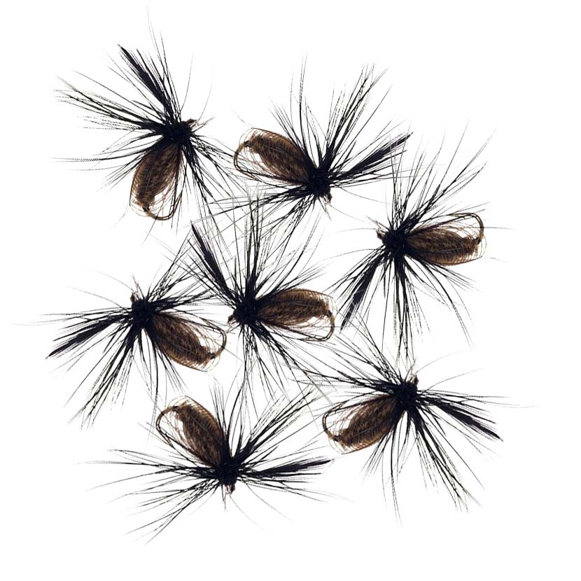 5/10Pcs 10# High Quality Peacock Nymph Trout Fishing Flies Artificial Insect Bait Lure Fishing Tackle