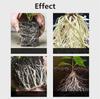 Plant Root Stimulator Promotes Root System Development Seedling Root Strengthener Enhances Vegetable Root Growth