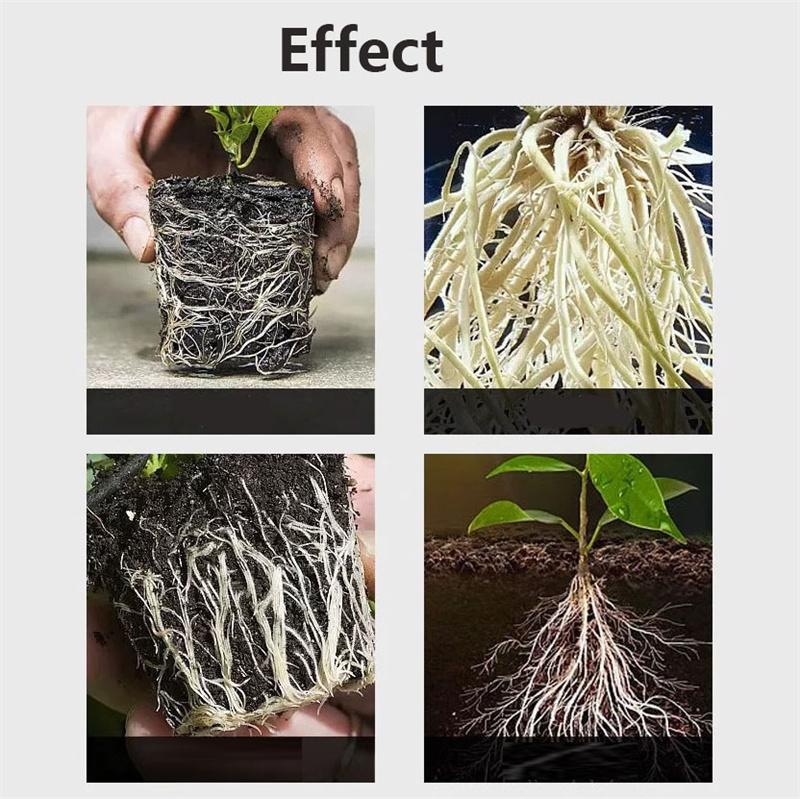Plant Root Stimulator Promotes Root System Development Seedling Root Strengthener Enhances Vegetable Root Growth