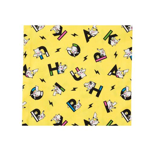 

[Pokemon] Pokemon Center PIKAPIKACHU Fabric Piece