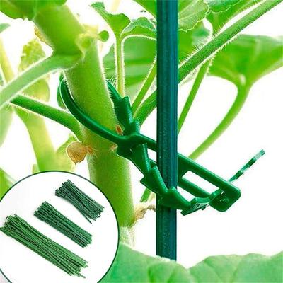 Reusable Adjustable Plant  Ties, Garden Climbing Plant Wire, Plastic Multi-Purpose Plant Support Ties for Vines and Flowers