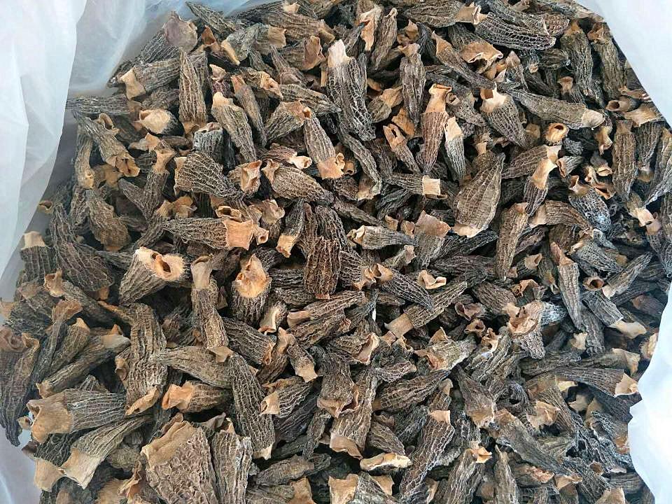 Sitong Junye Dried Morel Mushrooms - Yunnan Plateau Specialty