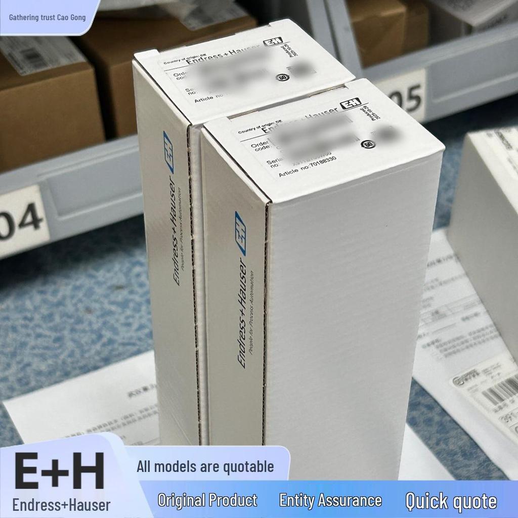 FTM51-AGK5M4A12AA E+H Endress+Hauser Tuning Fork Limit Switch Available