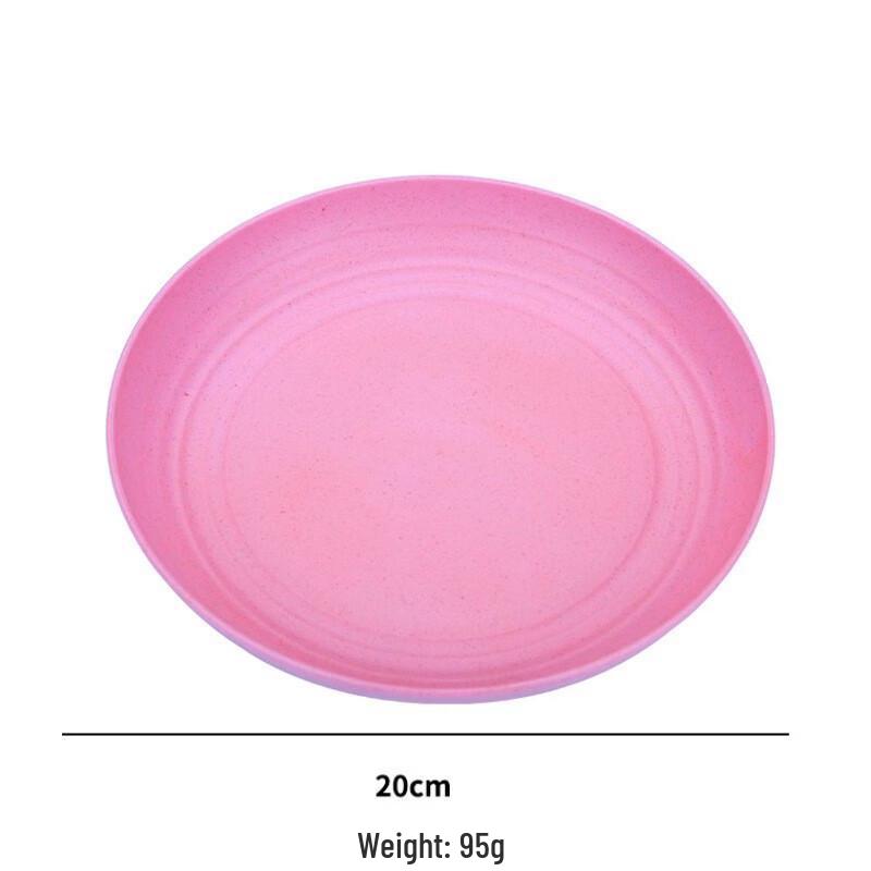 ZISIZ Round Stainless Steel Dinner Plate