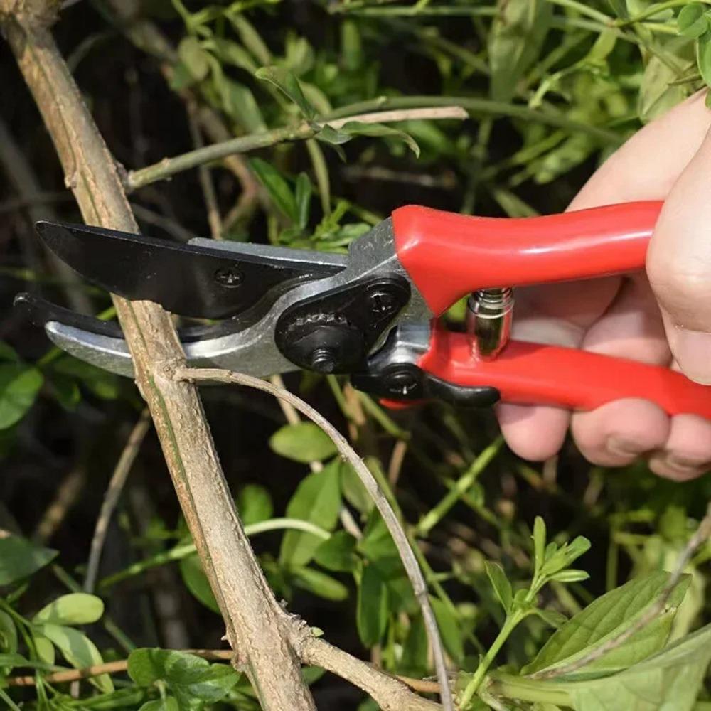 High Carbon Steel Gardening Scissors Grafting Tool Fruit Tree Pruning Shears Bonsai Pruners Garden Shears Secateurs