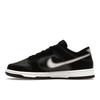 Nike Dunk Low Airbrush - Black Men Sneakers White Anthracite FD6923-001
