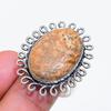 Natural Picture Jasper Gemstone 925 Sterling Silver Jewelry Ring Size 10 ZS-1236