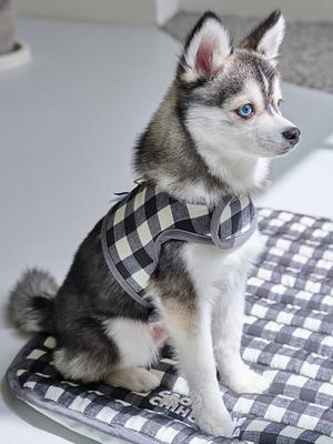 CROOKTHECHIHUAHUA Ice Summer Rayon Cool Harness - Cool Black