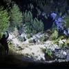 Quick Charge Multifunctional Outdoor Flashlight Long Standby Runtime Multi Light Modes Super Far Beam Dustproof Waterproof Lamp