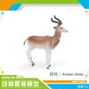 Forest Animal Model Simulation Wildebeest Antelope Big Horn Deer Twist Horn Goat Antelope Static Ornament Toy