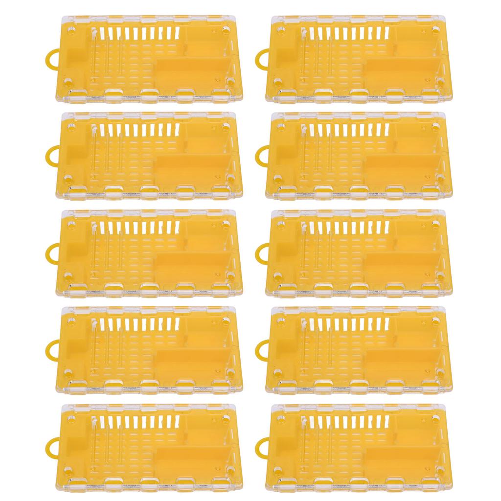 10Pcs Portable Queen Bee Cage Plastic Queen Bee Transporting Catcher Beekeeping Supplies Lightweight Beekeeper Equipment