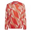 Herren Pre-Match-Top FC Bayern München 2023/24