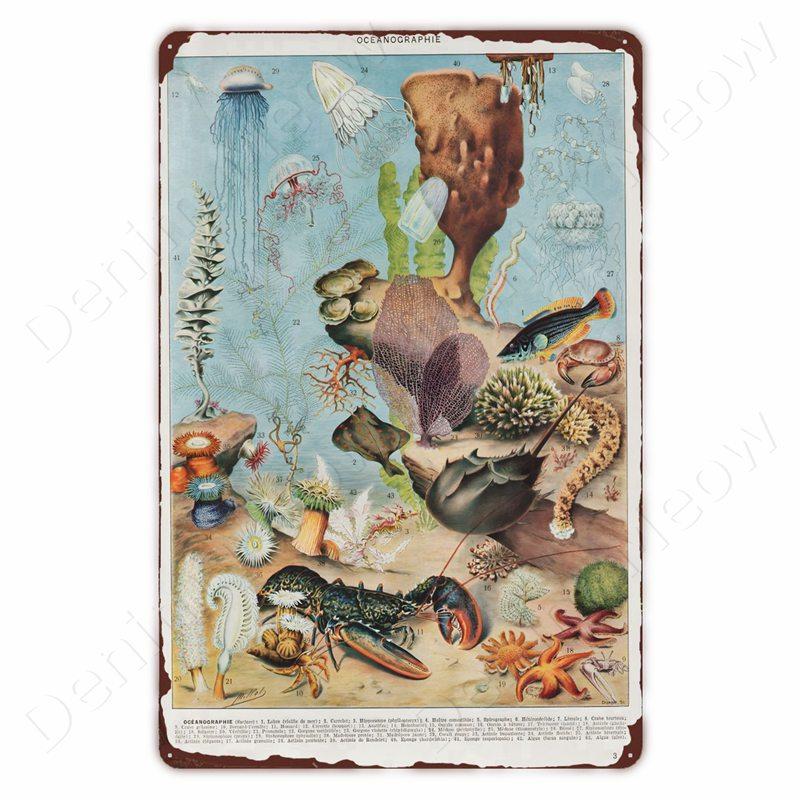 Starověcí Znamení Vintage Kovové Znamení Fosilní Nástěnné Umění Plakát Savci Ryby Znamení pro Domov Třída Dekor Hmyz Plechové Znamení