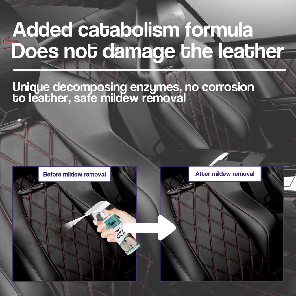 RAYHONG Odstraňovač plísní do auta vnitřní stropnice látka kožené sedadlo plíseň plíseň odstraňovač skvrn a udržovací prostředek