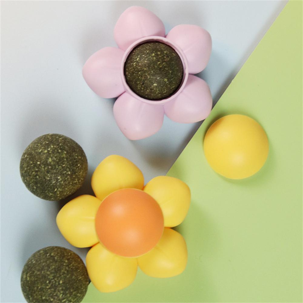 

Sticks/box Cat Chews Products All Natural Catnip Sticks Wood Tengo Molar Sticks Teeth Cleaning Cat Sticks for Cats of All Ages