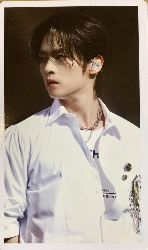 Stray Kids Reno Merchandise Photocard Set 60p (LEEKNOW)