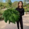 Boston Fern Artificial Plant With Uvresistant Plastic Foliage For Home Decor And Office Space