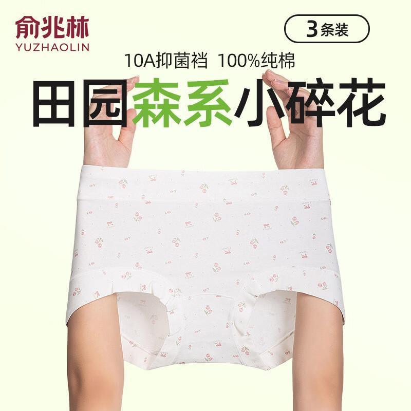 

Yuzhaolin Women s Antibacterial Pure Cotton High-Waist Briefs XL