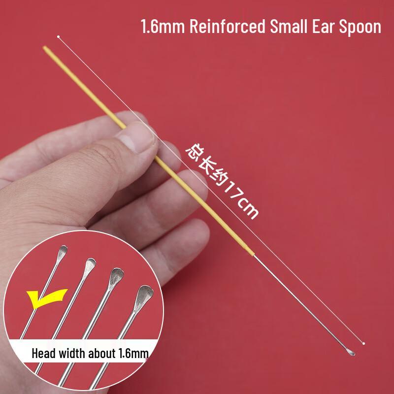 Professional Stainless Steel Ear Pick Kit