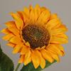 Simulated Sunflower Faux Flower with Bendable Stem Artificial Sunflower Branch for Home Office Wedding Parties Centerpiece