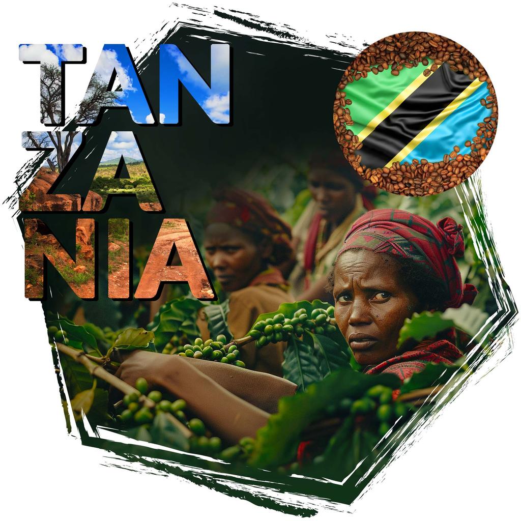 Coffee beans 1kg Tanzania AA Gombe 500g x2 Freshly Roasted Arabica 100%